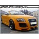 DESIGN AUDI R8 pour AUDI TT 8N