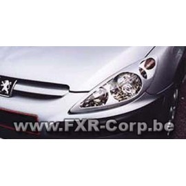 Masque SPORT peugeot 307 phase 1