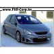 PEUGEOT 307 CARZ Kit complet 