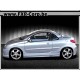 STALKER - Kit complet PEUGEOT 206