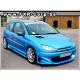 CARZ - Kit complet PEUGEOT 206