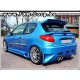 CARZ - Kit complet PEUGEOT 206