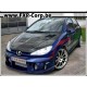 DELSOL - Pare-choc avant PEUGEOT 206