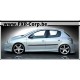 B11 - Bas de caisse PEUGEOT 206 