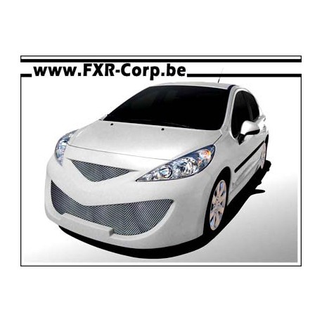 Kits carrosseries Peugeot 207 Tuning