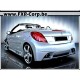 STRIPER - Bas de caisse PEUGEOT 207 