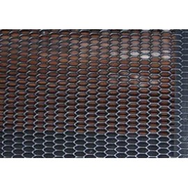 Grille plastique RS4 Look (1 PC)