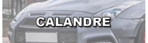 CALANDRE CLIO 2