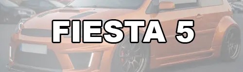 FIESTA 5