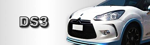 DS3