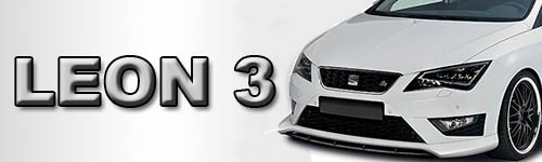 LEON 3
