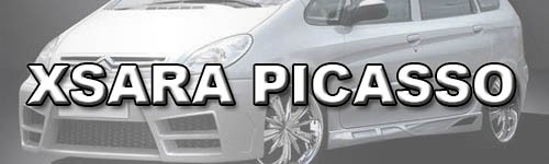 Xsara Picasso